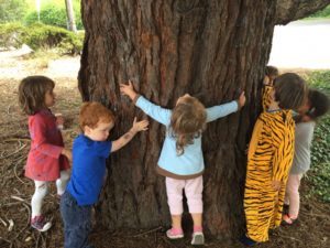 Young Pre-K campers surround a large redwood tree, some of them giving it a hug