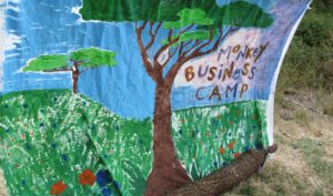 A painted backdrop showing trees in a park with words Monkey Business Camp, this image is shown on our Policies page