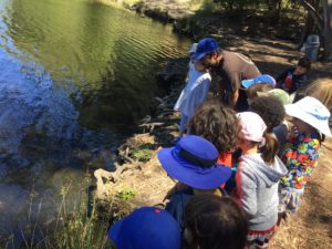 Counselor Ashkon and a group of campers look for wildlife in Lake Smaller at Tilden Outdoor Camp in Berkeley