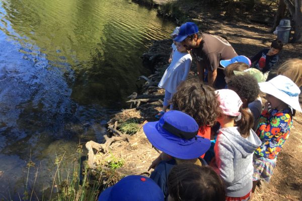 Counselor Ashkon and a group of campers look for wildlife in Lake Smaller at Tilden Outdoor Camp in Berkeley
